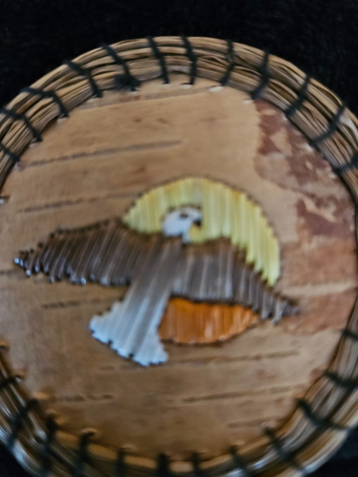 NATIVE AMERICAN ARTIST SIGNED ROUND BIRCHBARK, SWEETGRASS & PORCUPINE QUILL PIN