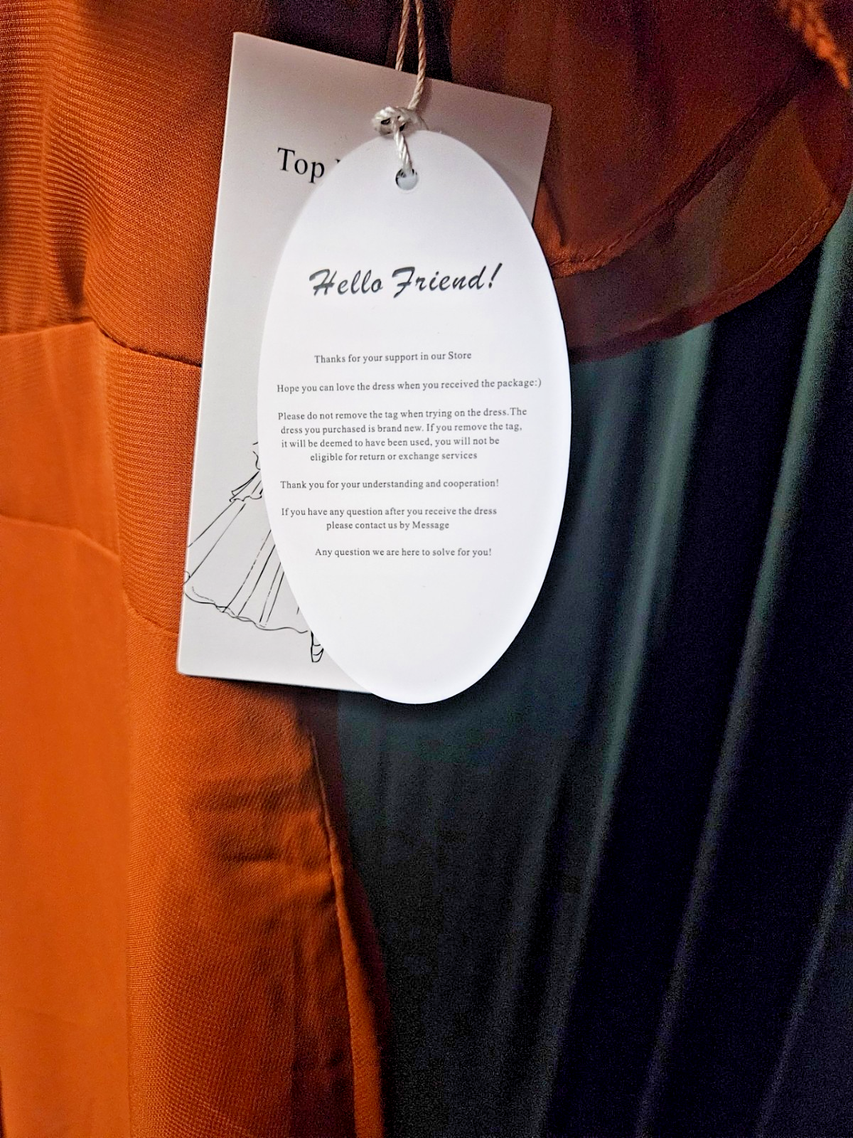 WOMEN'S SIZE 18 CINNAMON CHIFFON BEAD & EMBROIDER MAXI GOWN FORMAL/PROM NWT