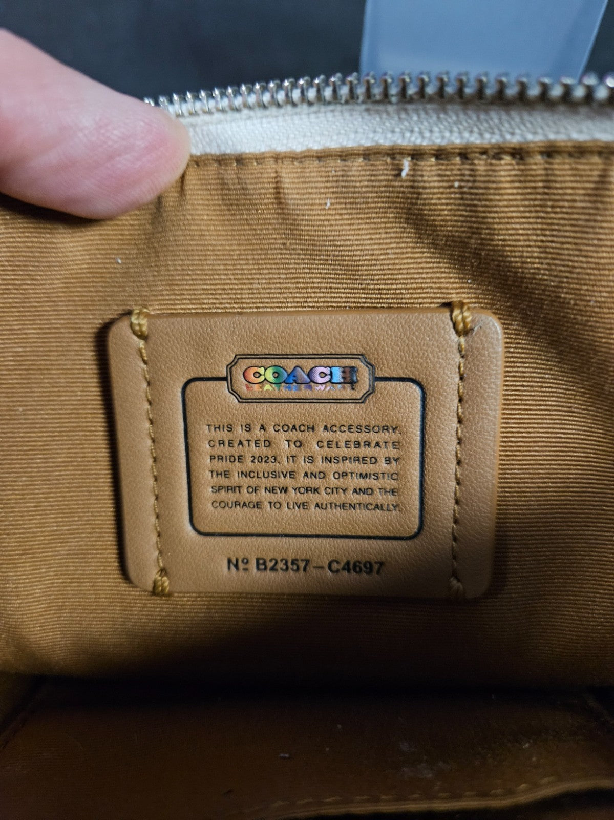Coach Poppy Crossbody WITHOUT Card Case In Rainbow Signature Canvas (C4697)